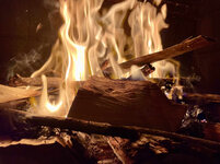 IMG-3884.jpg IMG-3884.jpg