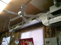 $20 blow-job Cragdlist, fan.jpg