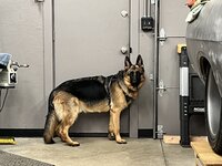 IMG_7368.jpeg