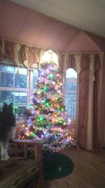 IMG_20231210_160007.jpg