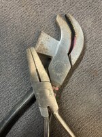 IMG_7409.jpeg