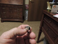DSCN9039.JPG