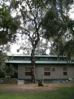 1485-Tree-25.JPG