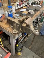 IMG_2401.jpeg