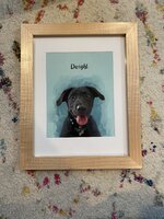 IMG_5419.jpeg