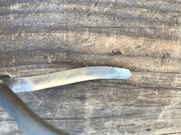 IMG_7846.jpeg