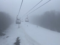 IMG-5371.jpg