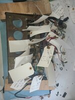 20230602_145605.jpg