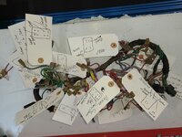 Old Harness Removed.jpg