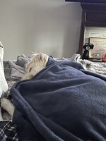 IMG_1635.jpeg