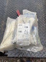 IMG_2941.jpeg