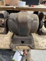 IMG_3980.jpeg