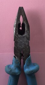 IMG_3124.jpeg