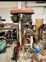 IMG_2984.jpeg