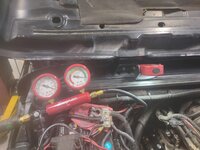ls18.jpg