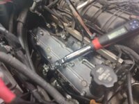 ls26.jpg