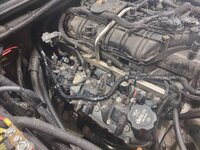 ls29.jpg