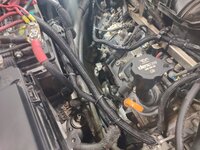 ls30.jpg