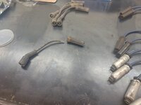 ls31.jpg