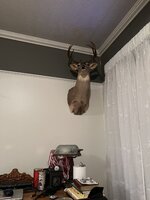 IMG_8395.jpeg IMG_8395.jpeg
