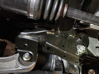 IMG_8428.jpeg IMG_8428.jpeg