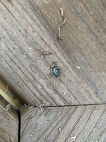 IMG_0523.jpeg IMG_0523.jpeg