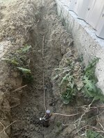IMG_3618.jpeg