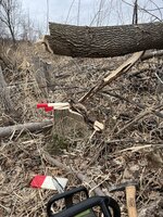IMG_0261.jpeg
