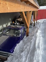 IMG_1627.jpeg IMG_1627.jpeg