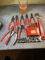 IMG_5477.jpeg IMG_5477.jpeg