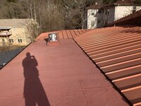 IMG_3374.jpeg IMG_3374.jpeg