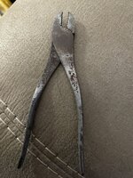 IMG_2041.jpeg