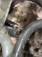 IMG_0011.jpeg