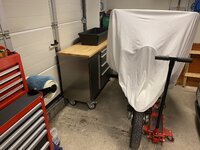 IMG_5475.jpeg
