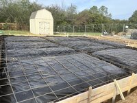 IMG_4587.jpeg IMG_4587.jpeg
