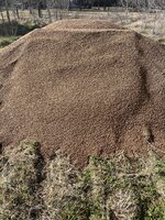 IMG_9366.jpeg