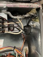 IMG_2378.jpeg