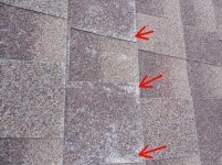 Roof 1.jpg