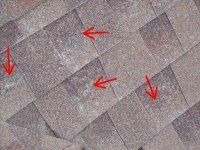 Roof 2.jpg
