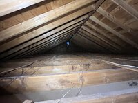 IMG_8749.jpeg