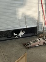 IMG_2324.jpeg