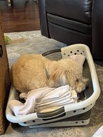 IMG_1913.jpeg