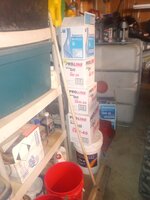 IMG_20240117_182837440.jpg