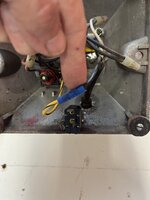 IMG_7552.jpeg
