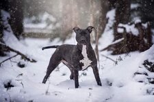 FB_IMG_1584328772169.jpg