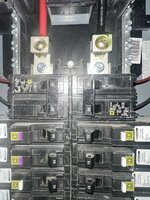 IMG_6513.jpeg
