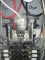 IMG_6508.jpeg