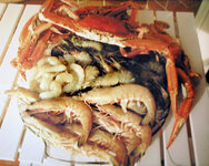 Sydney Fishmarket 2.jpg