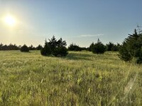 IMG_0388.jpeg IMG_0388.jpeg