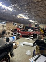 IMG_7195.jpeg